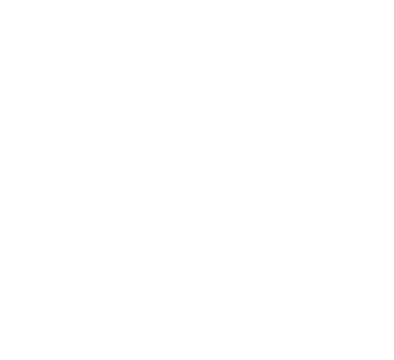 Valencia Vikings