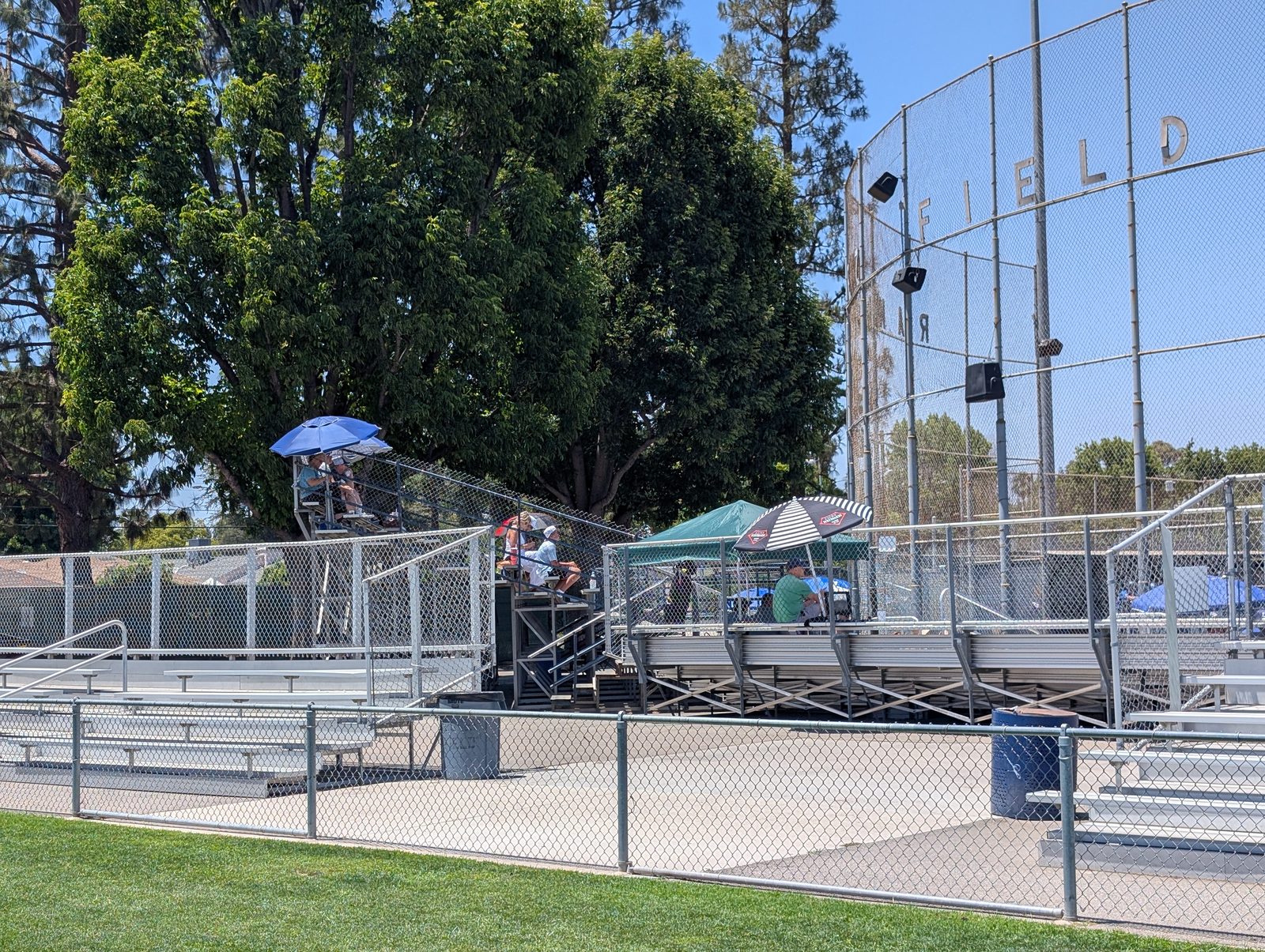 The grandstand, scorer's stand, and the two big trees behind home plate.