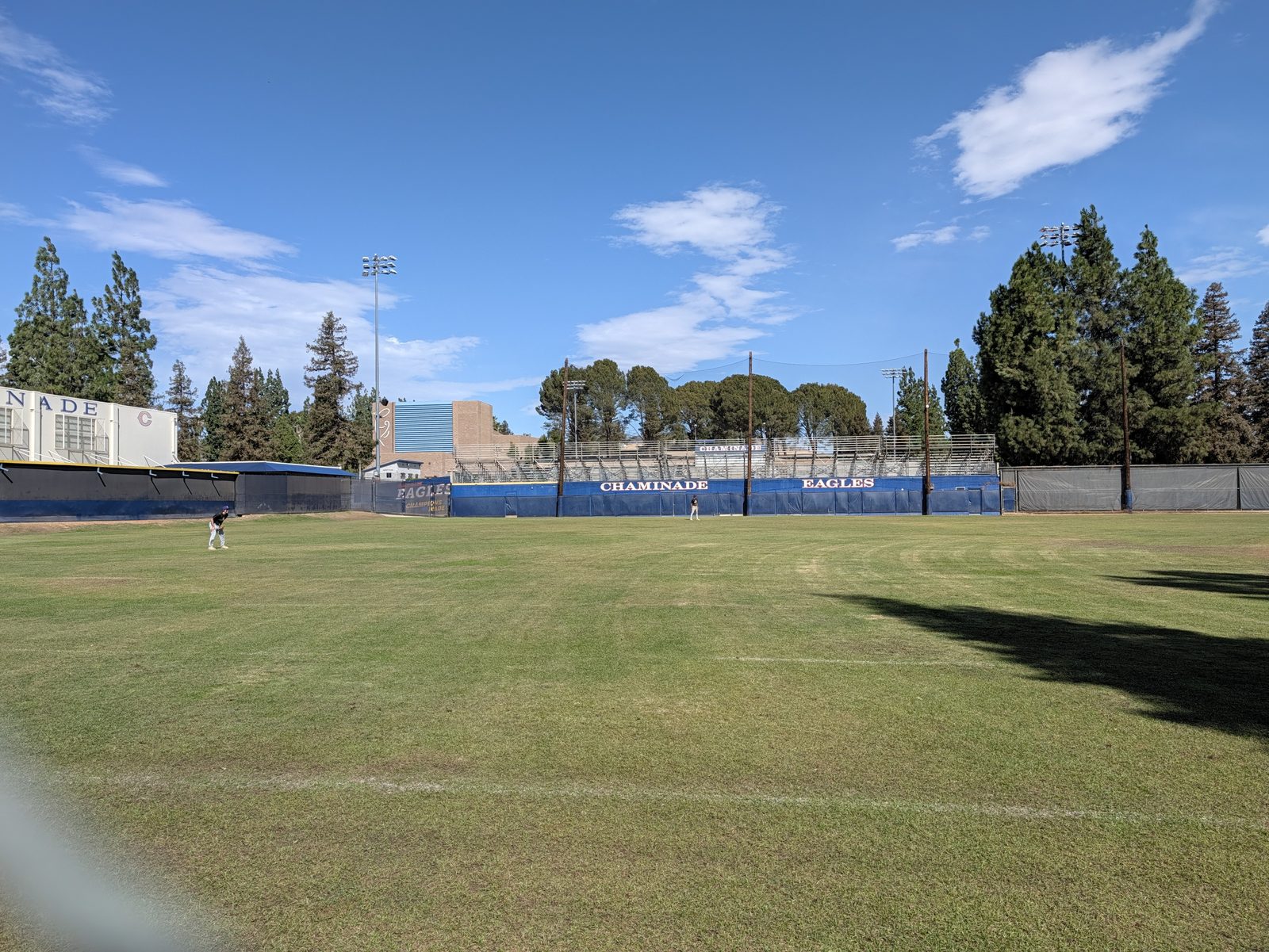 The outfield.