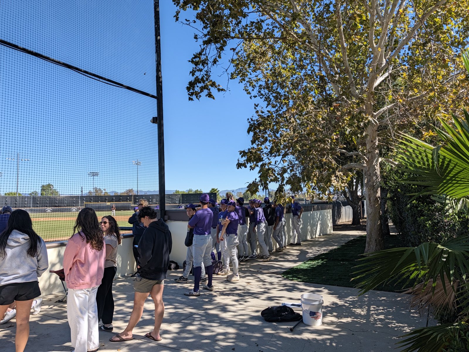 Tree shade along the first-base walkway, late Saturday morning.